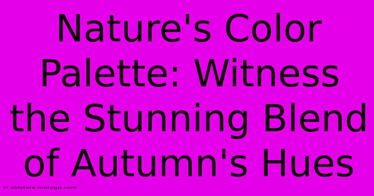 Nature's Color Palette: Witness The Stunning Blend Of Autumn's Hues