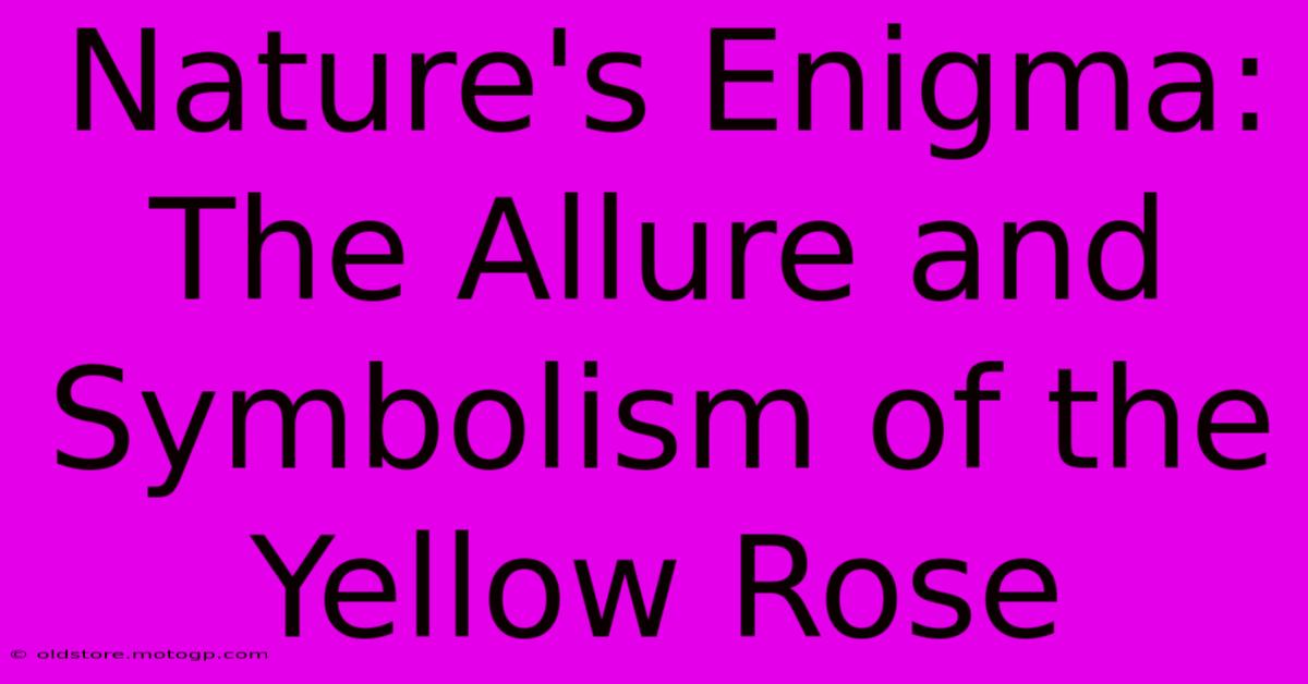 Nature's Enigma: The Allure And Symbolism Of The Yellow Rose