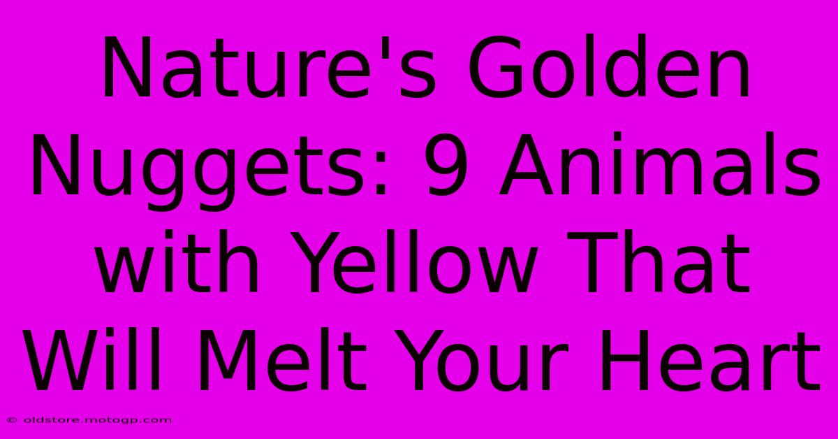 Nature's Golden Nuggets: 9 Animals With Yellow That Will Melt Your Heart