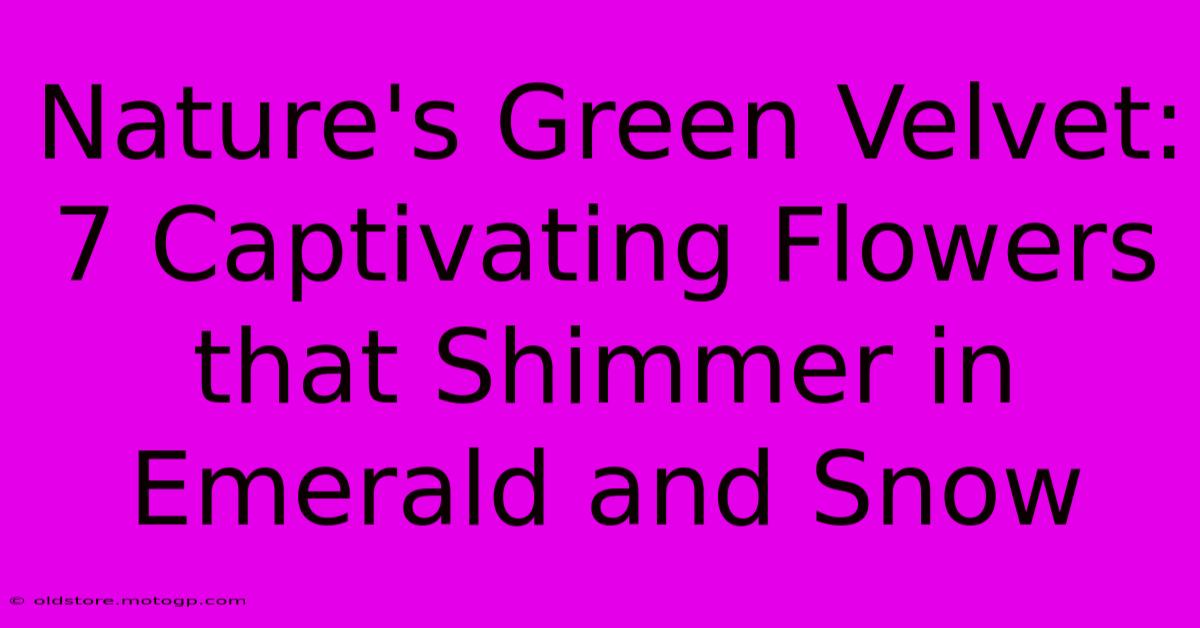 Nature's Green Velvet: 7 Captivating Flowers That Shimmer In Emerald And Snow