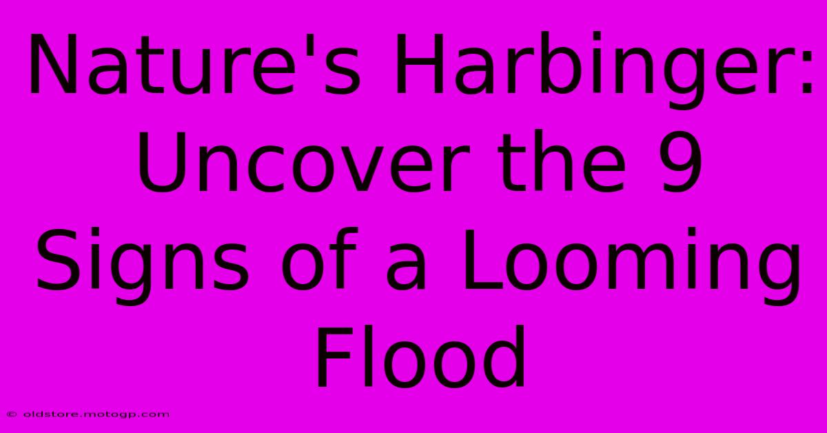 Nature's Harbinger: Uncover The 9 Signs Of A Looming Flood