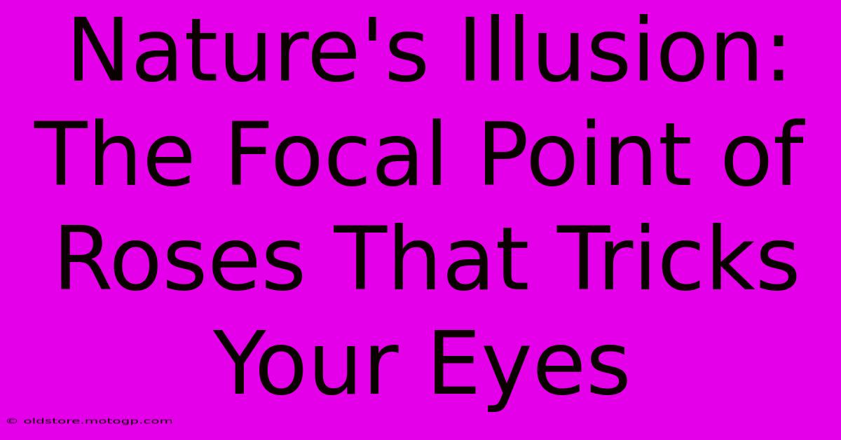 Nature's Illusion: The Focal Point Of Roses That Tricks Your Eyes