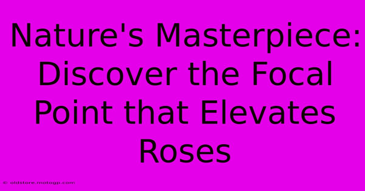 Nature's Masterpiece: Discover The Focal Point That Elevates Roses