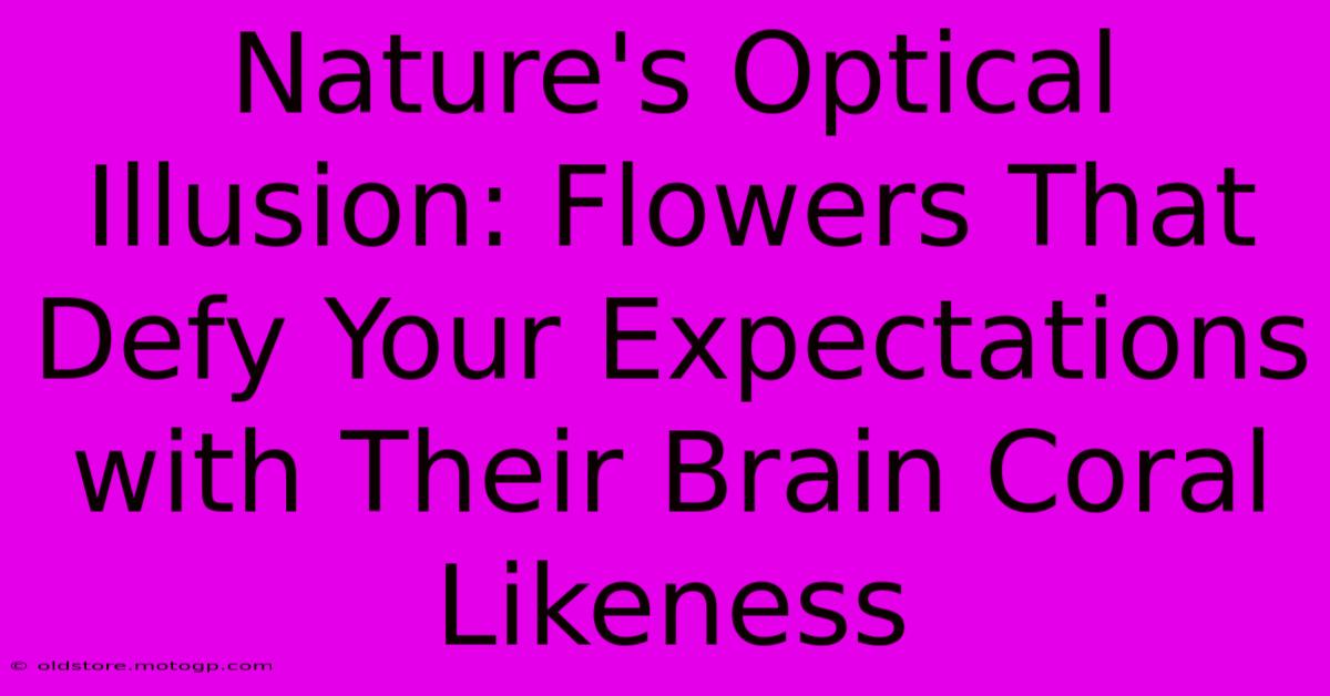 Nature's Optical Illusion: Flowers That Defy Your Expectations With Their Brain Coral Likeness