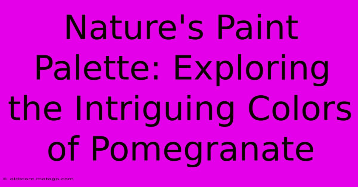 Nature's Paint Palette: Exploring The Intriguing Colors Of Pomegranate