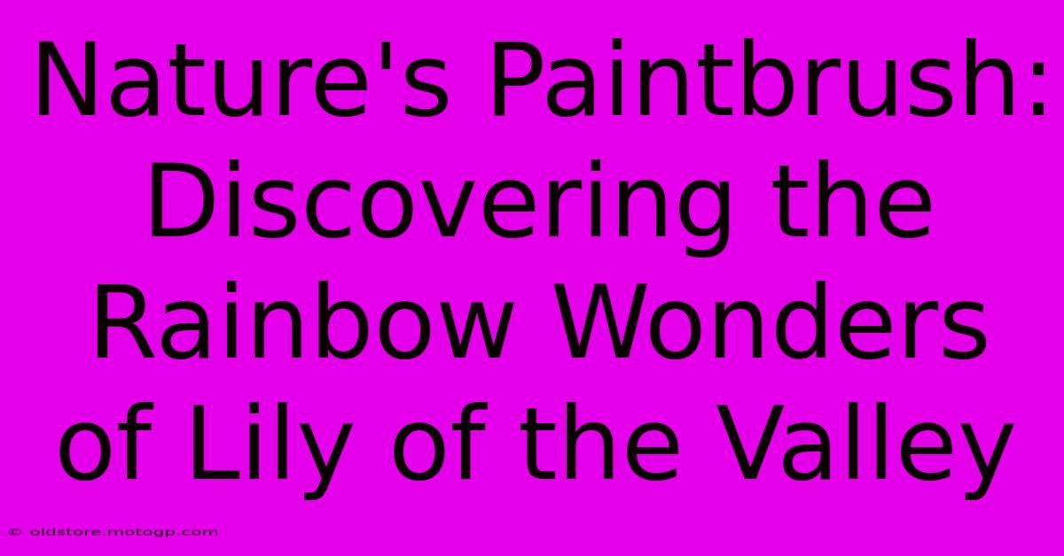 Nature's Paintbrush: Discovering The Rainbow Wonders Of Lily Of The Valley