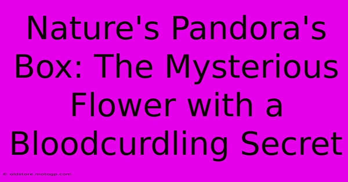 Nature's Pandora's Box: The Mysterious Flower With A Bloodcurdling Secret