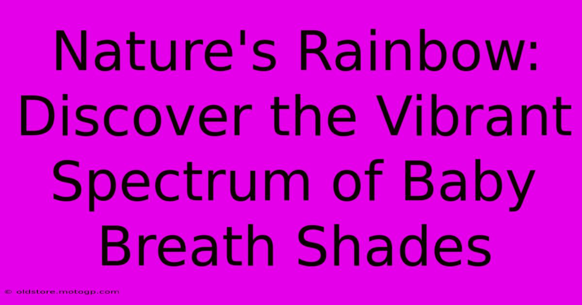 Nature's Rainbow: Discover The Vibrant Spectrum Of Baby Breath Shades