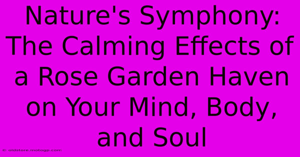 Nature's Symphony: The Calming Effects Of A Rose Garden Haven On Your Mind, Body, And Soul