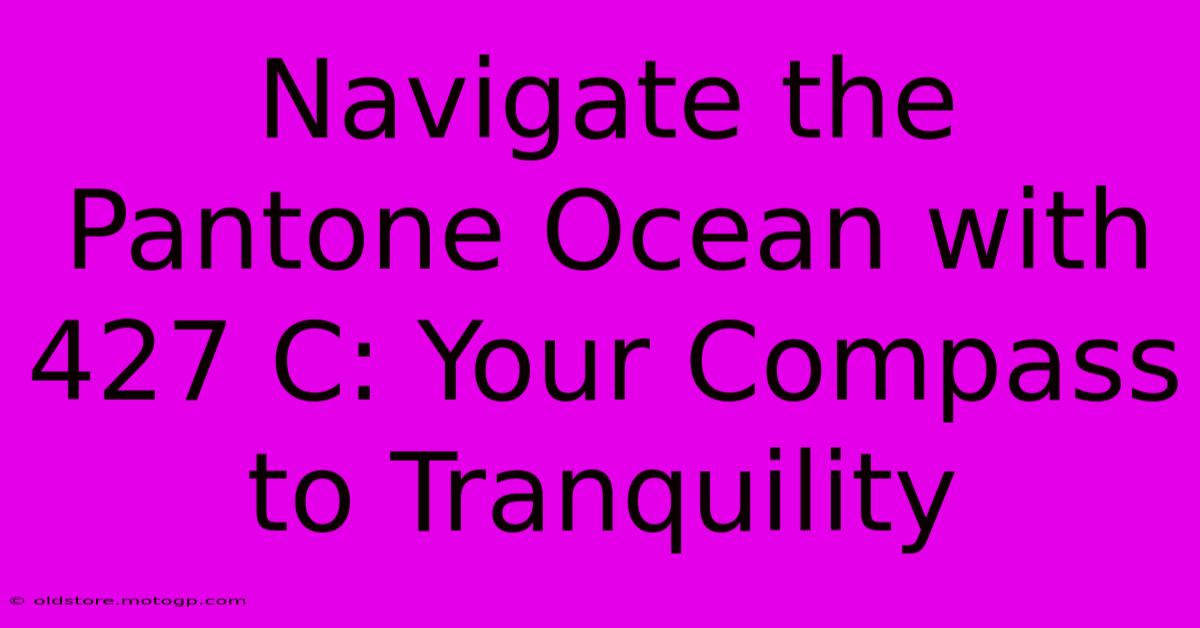 Navigate The Pantone Ocean With 427 C: Your Compass To Tranquility