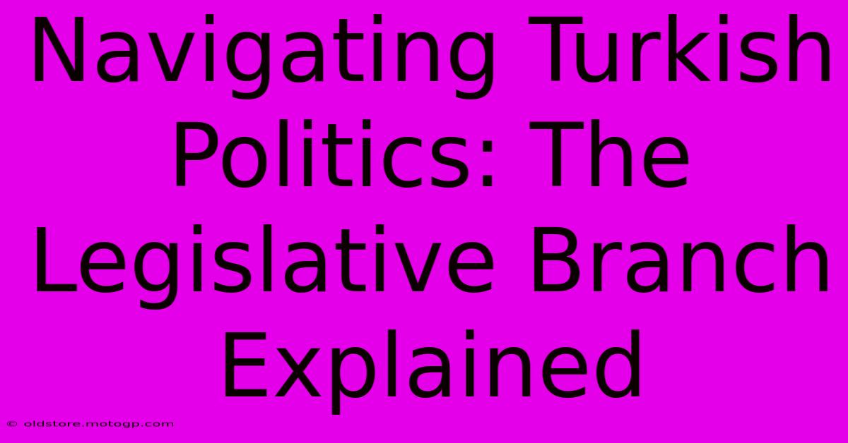 Navigating Turkish Politics: The Legislative Branch Explained