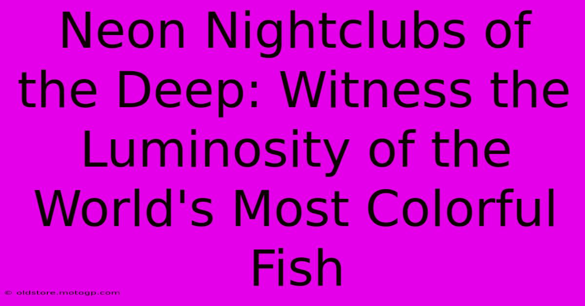 Neon Nightclubs Of The Deep: Witness The Luminosity Of The World's Most Colorful Fish