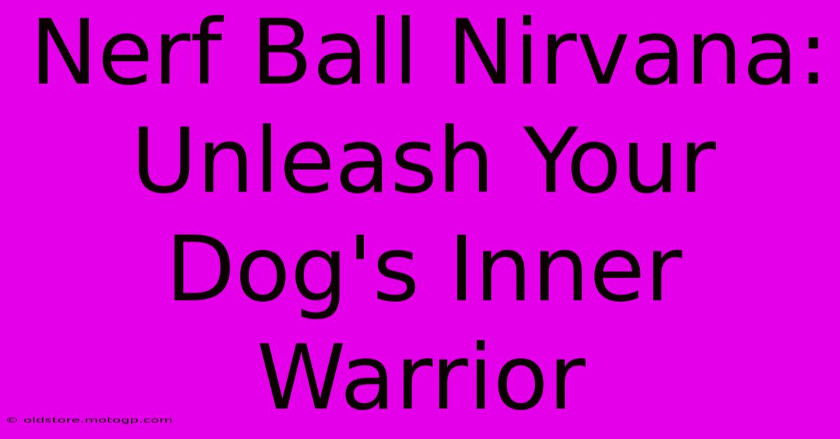 Nerf Ball Nirvana: Unleash Your Dog's Inner Warrior