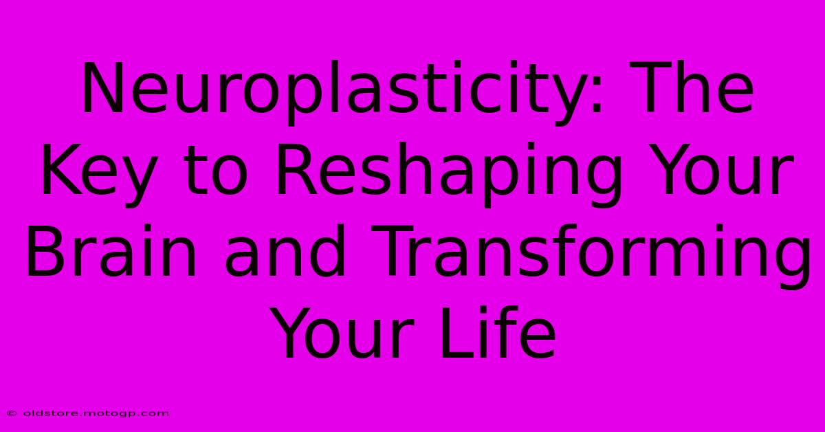 Neuroplasticity: The Key To Reshaping Your Brain And Transforming Your Life