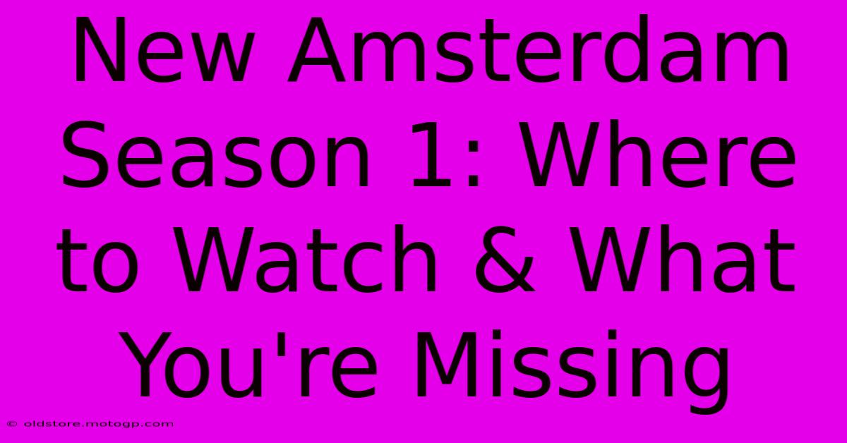 New Amsterdam Season 1: Where To Watch & What You're Missing