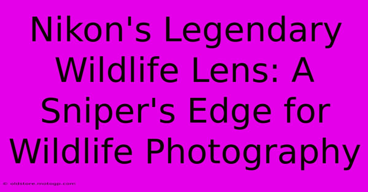 Nikon's Legendary Wildlife Lens: A Sniper's Edge For Wildlife Photography