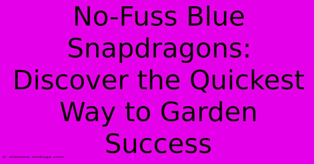 No-Fuss Blue Snapdragons: Discover The Quickest Way To Garden Success