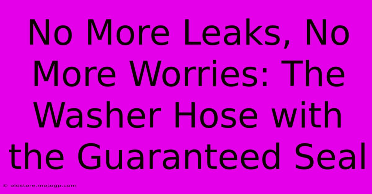 No More Leaks, No More Worries: The Washer Hose With The Guaranteed Seal