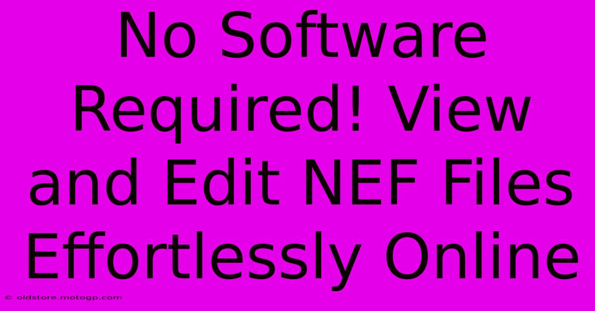 No Software Required! View And Edit NEF Files Effortlessly Online