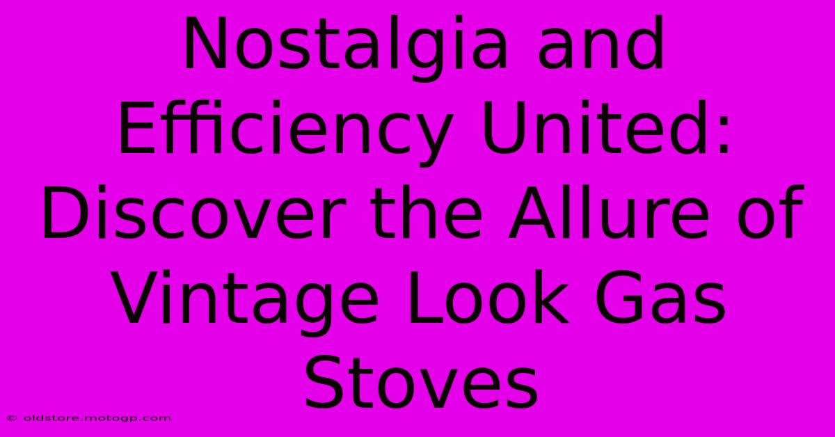 Nostalgia And Efficiency United: Discover The Allure Of Vintage Look Gas Stoves