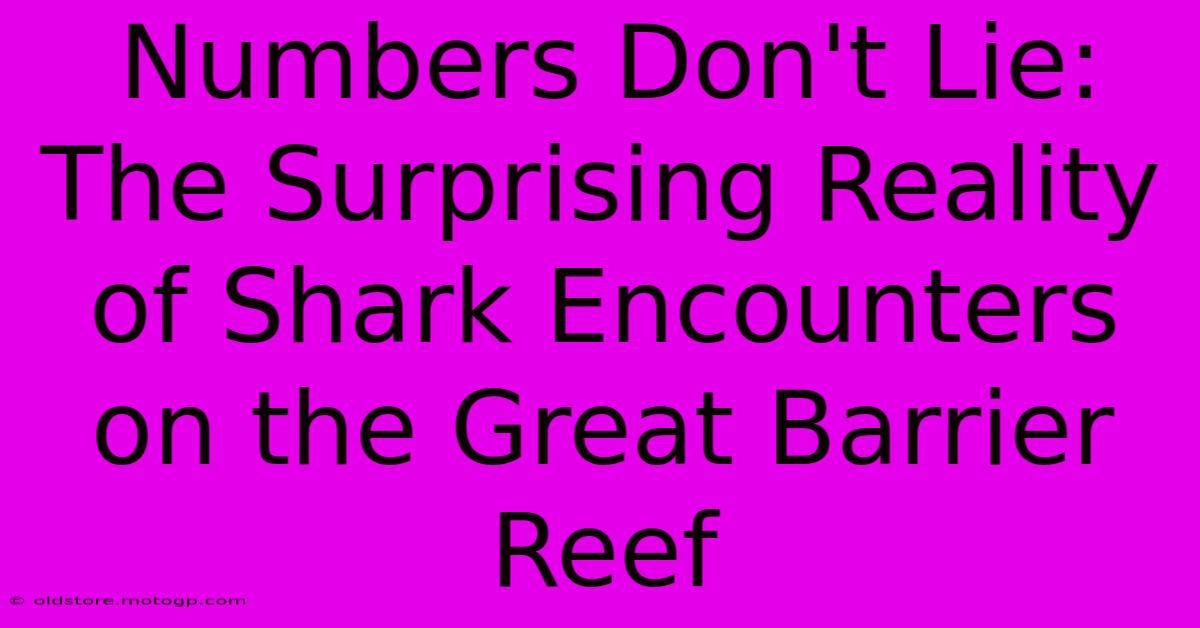 Numbers Don't Lie: The Surprising Reality Of Shark Encounters On The Great Barrier Reef