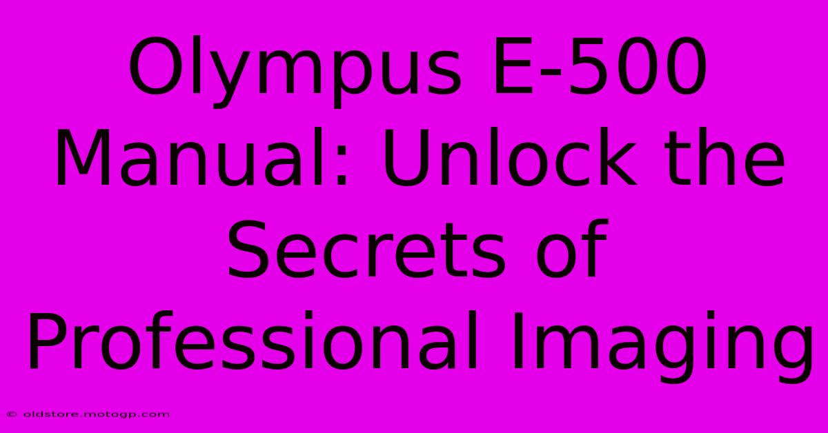 Olympus E-500 Manual: Unlock The Secrets Of Professional Imaging