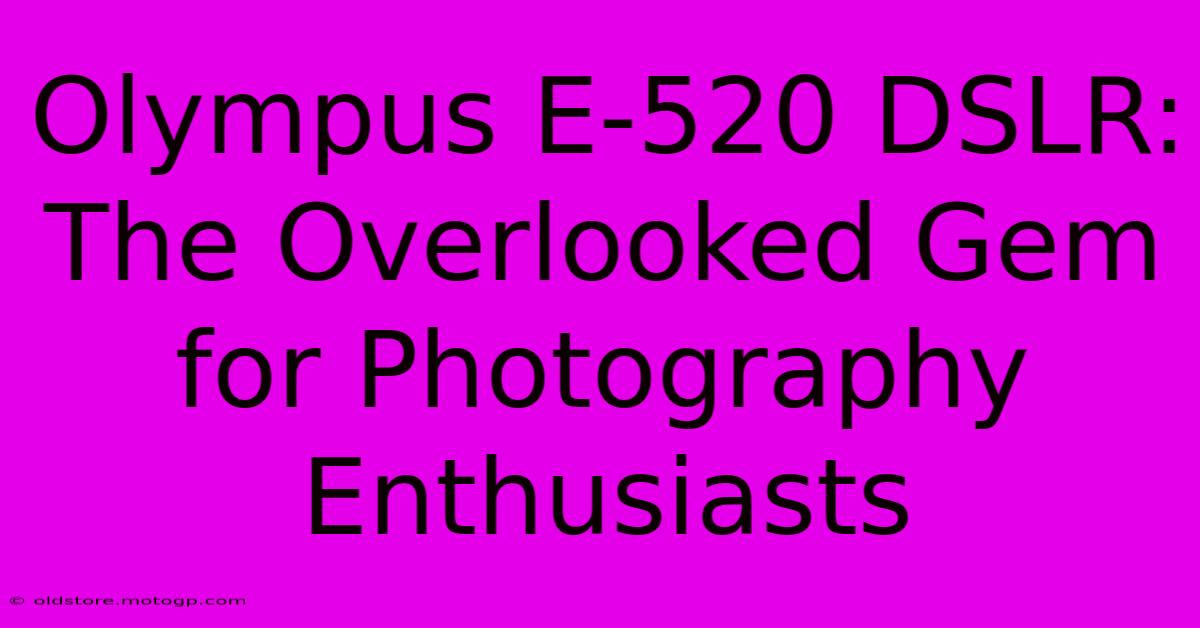 Olympus E-520 DSLR: The Overlooked Gem For Photography Enthusiasts