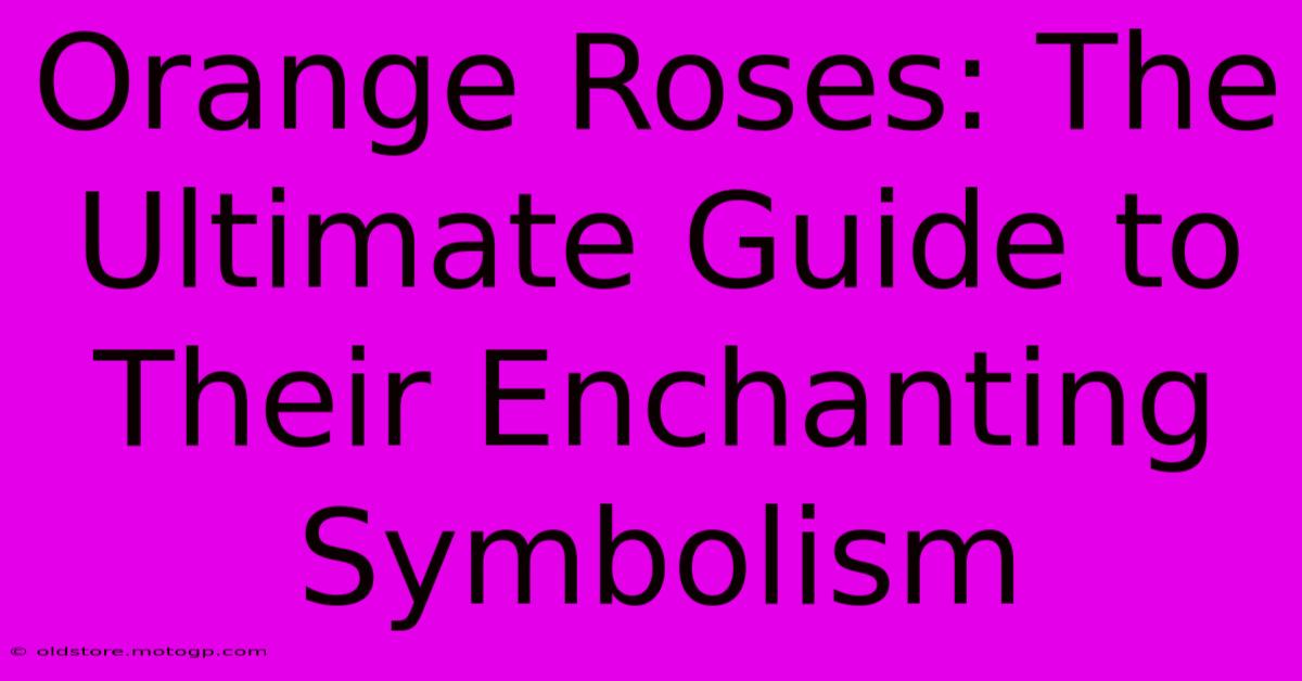 Orange Roses: The Ultimate Guide To Their Enchanting Symbolism