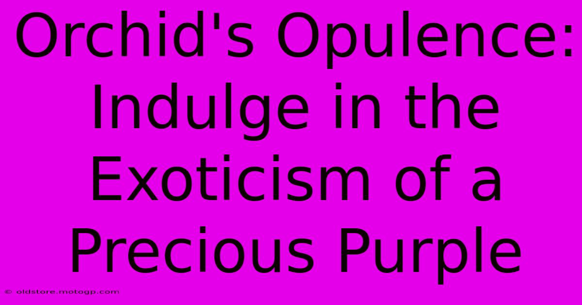 Orchid's Opulence: Indulge In The Exoticism Of A Precious Purple