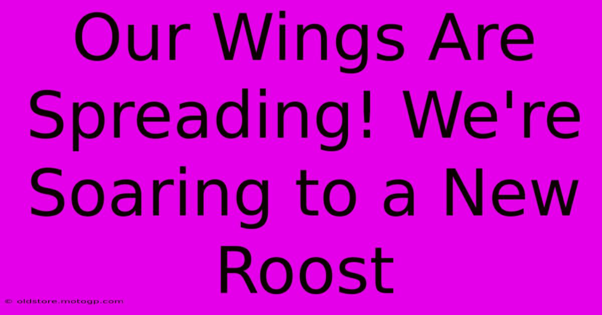 Our Wings Are Spreading! We're Soaring To A New Roost