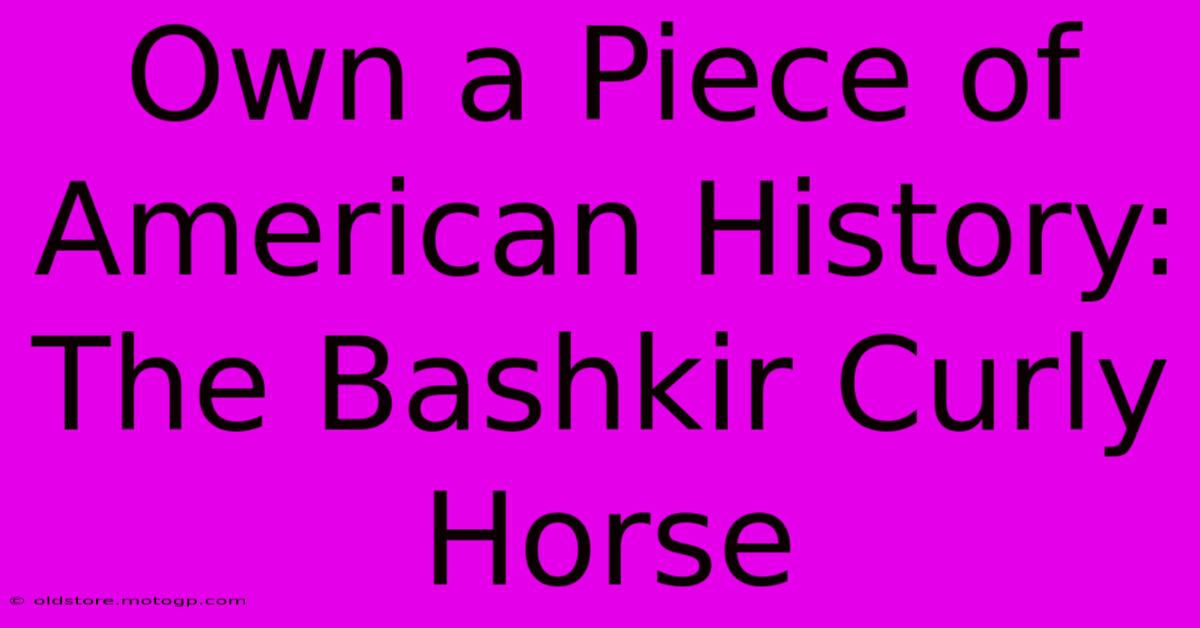 Own A Piece Of American History: The Bashkir Curly Horse