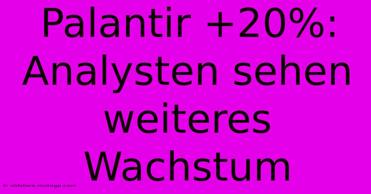 Palantir +20%: Analysten Sehen Weiteres Wachstum