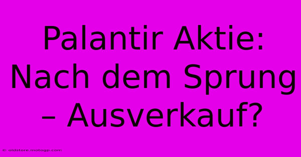 Palantir Aktie:  Nach Dem Sprung – Ausverkauf?