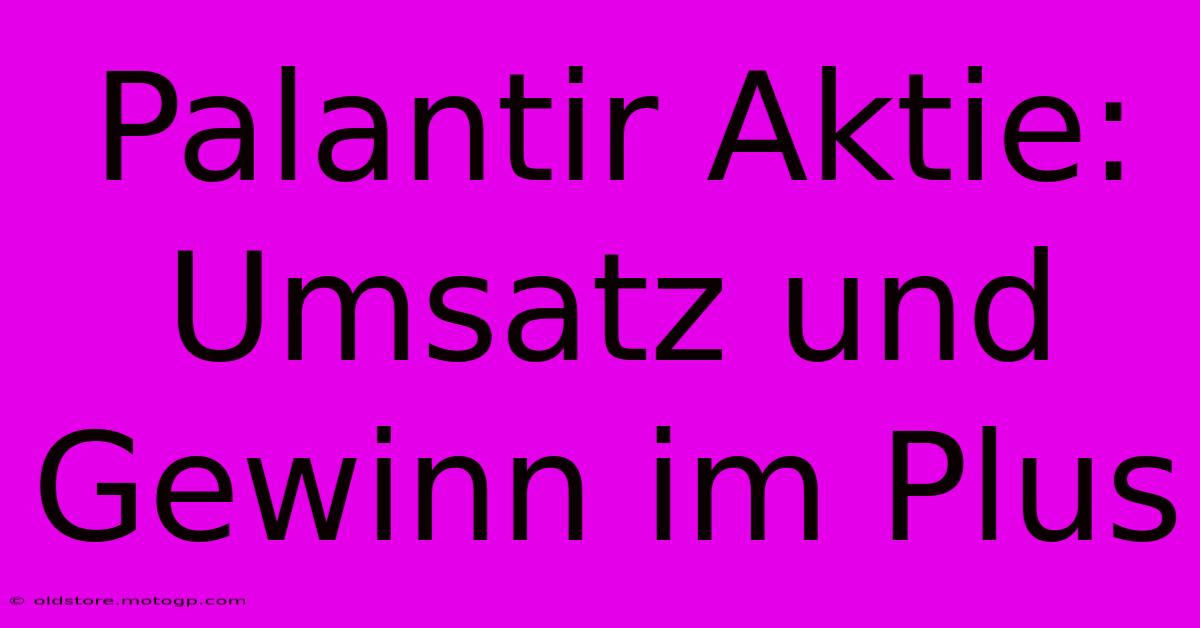 Palantir Aktie: Umsatz Und Gewinn Im Plus