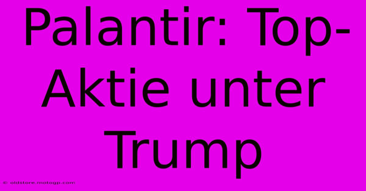 Palantir: Top-Aktie Unter Trump