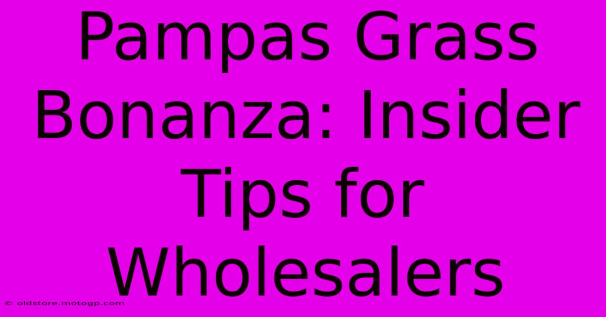 Pampas Grass Bonanza: Insider Tips For Wholesalers