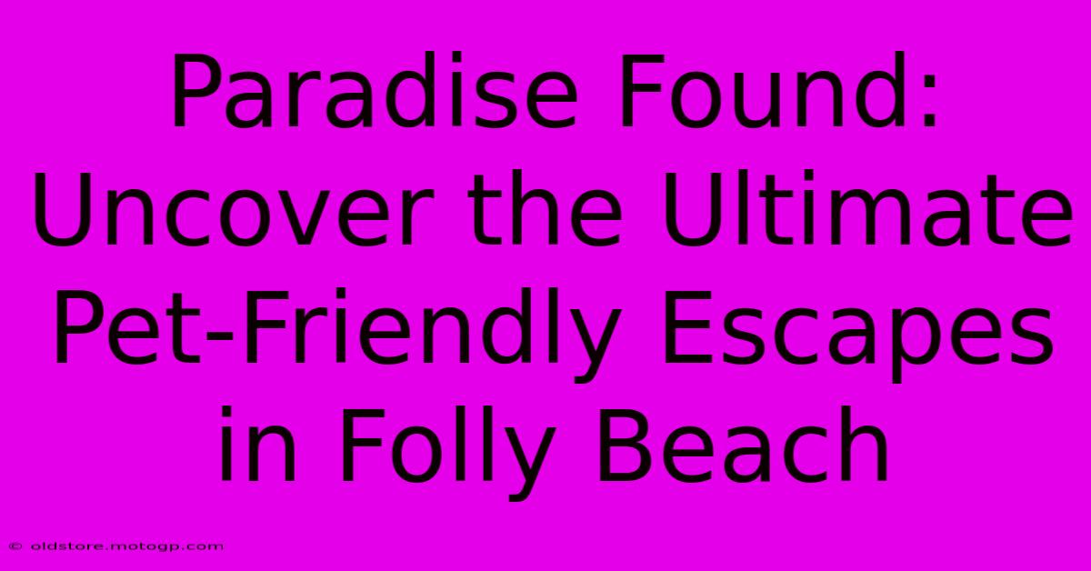 Paradise Found: Uncover The Ultimate Pet-Friendly Escapes In Folly Beach