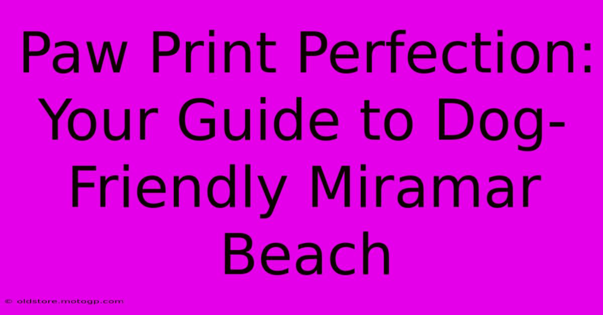 Paw Print Perfection: Your Guide To Dog-Friendly Miramar Beach