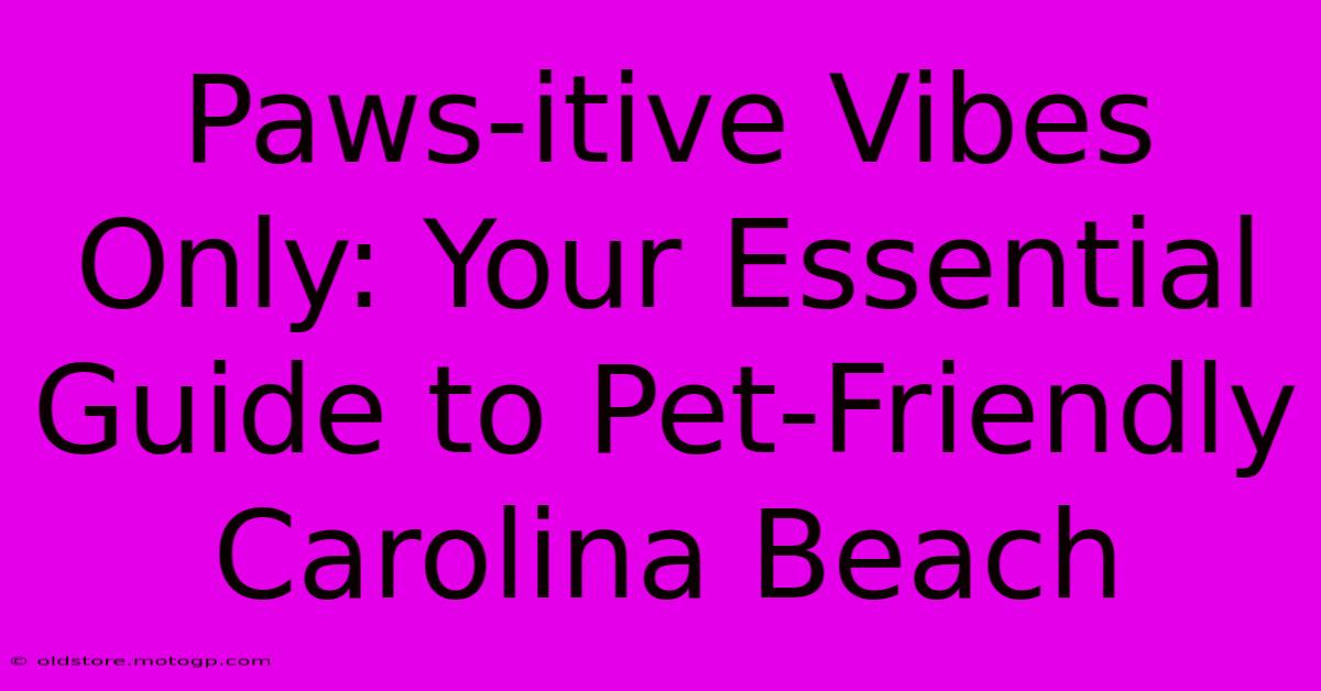 Paws-itive Vibes Only: Your Essential Guide To Pet-Friendly Carolina Beach