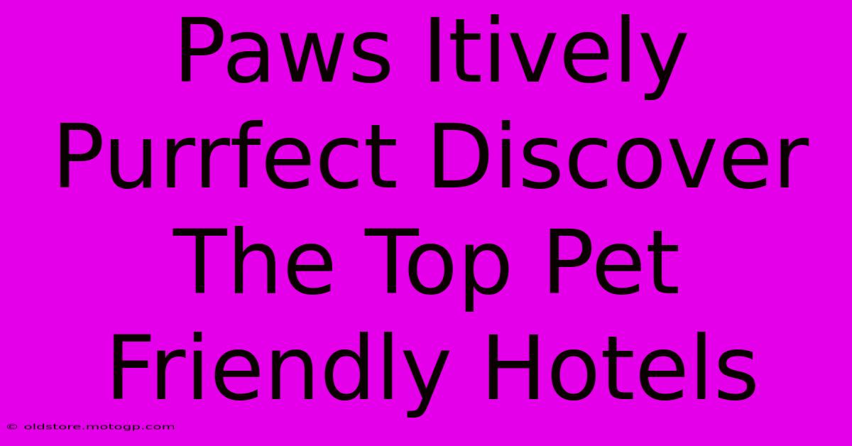 Paws-itively Purrfect: Discover the Top Pet-Friendly Hotels in Crested Butte