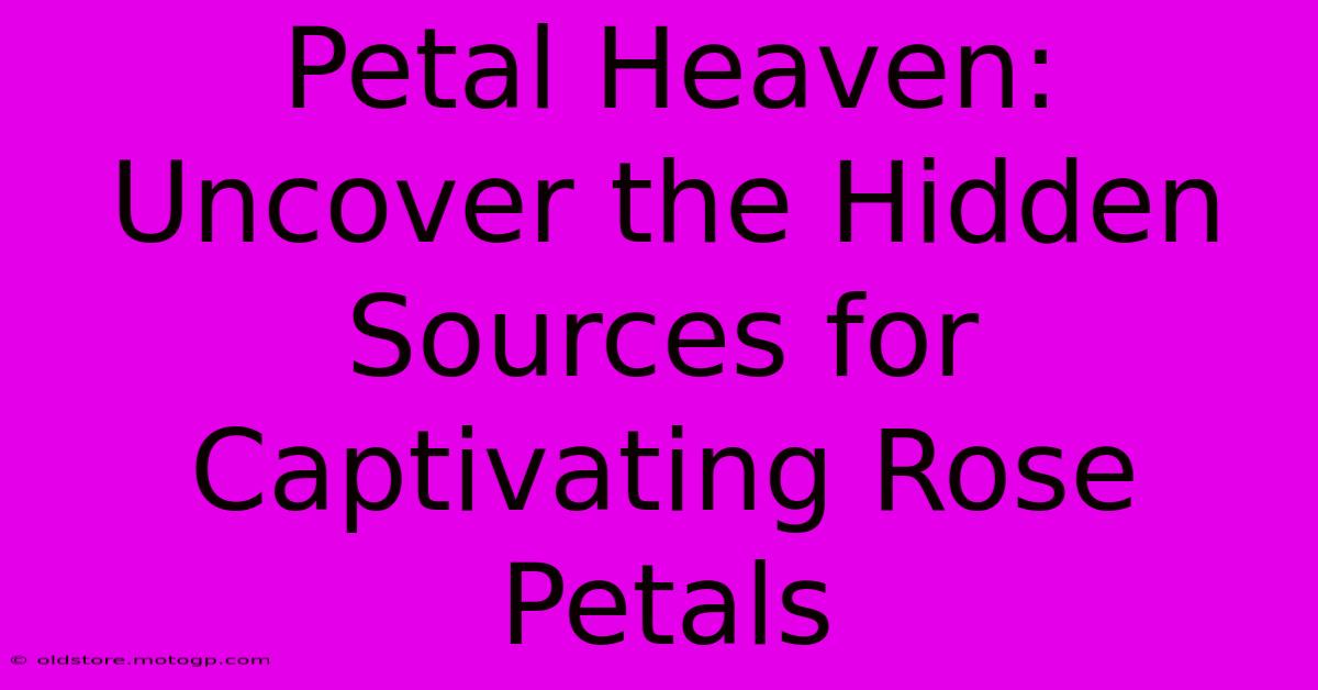 Petal Heaven: Uncover The Hidden Sources For Captivating Rose Petals