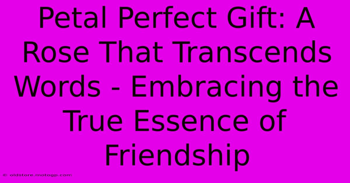 Petal Perfect Gift: A Rose That Transcends Words - Embracing The True Essence Of Friendship