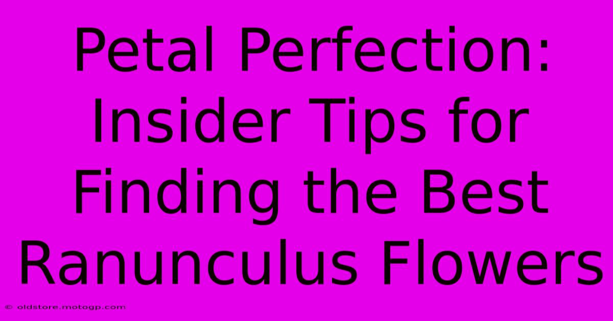 Petal Perfection: Insider Tips For Finding The Best Ranunculus Flowers