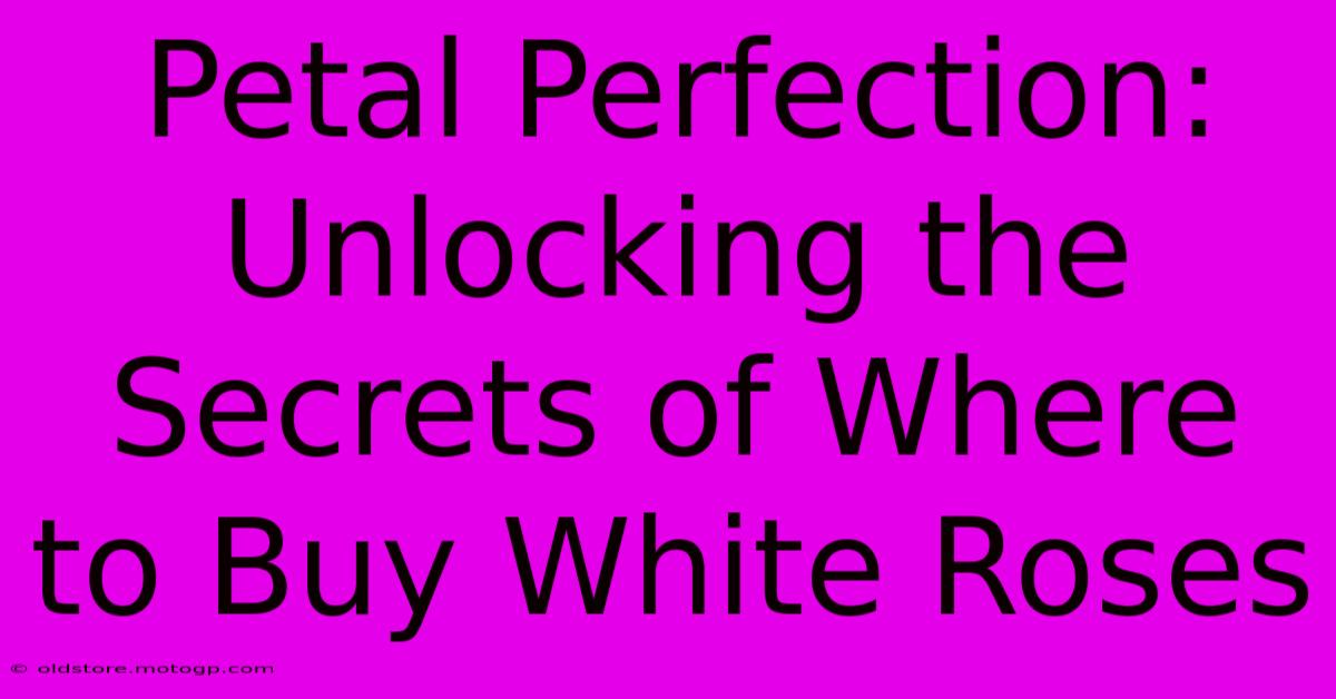 Petal Perfection: Unlocking The Secrets Of Where To Buy White Roses