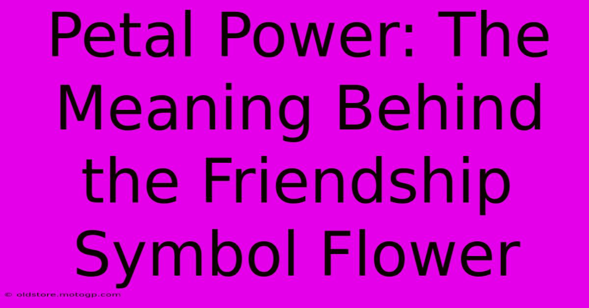 Petal Power: The Meaning Behind The Friendship Symbol Flower