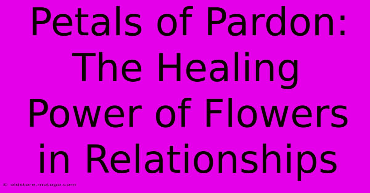 Petals Of Pardon: The Healing Power Of Flowers In Relationships