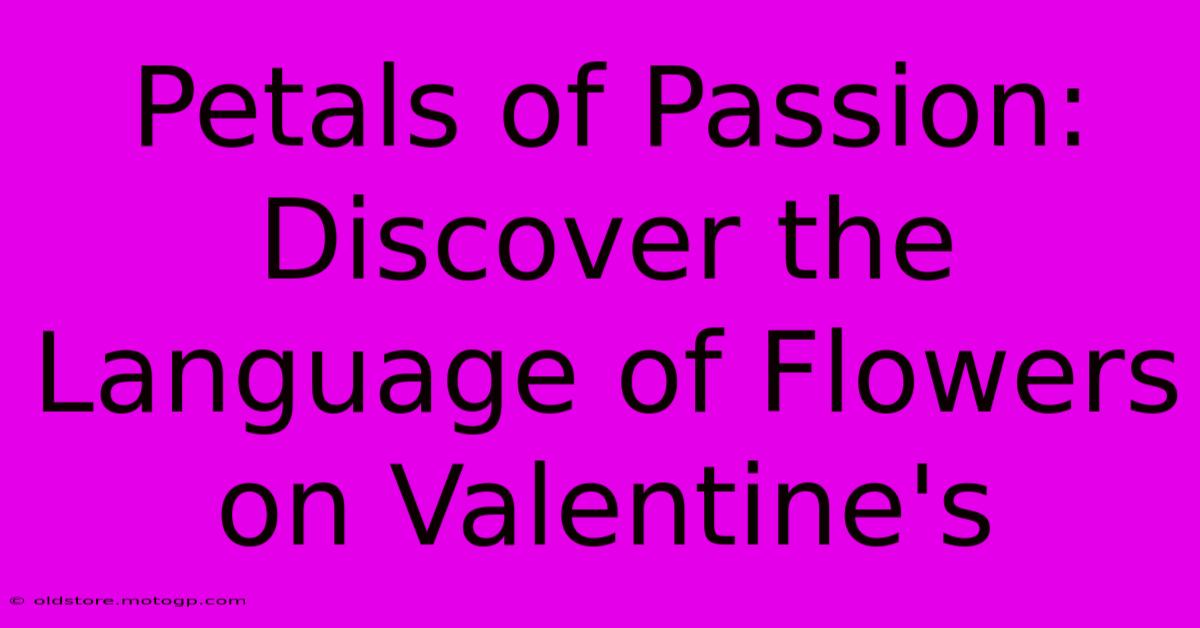 Petals Of Passion: Discover The Language Of Flowers On Valentine's