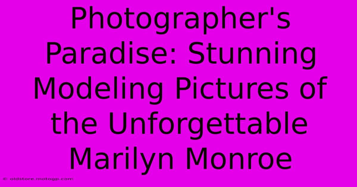 Photographer's Paradise: Stunning Modeling Pictures Of The Unforgettable Marilyn Monroe