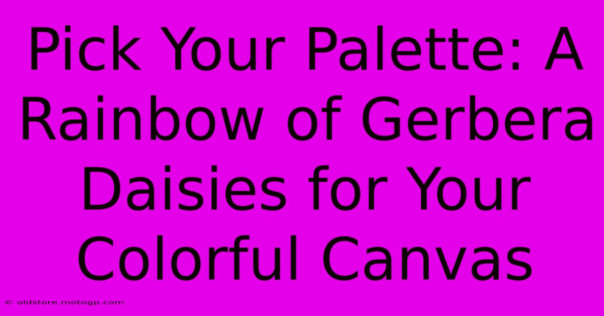 Pick Your Palette: A Rainbow Of Gerbera Daisies For Your Colorful Canvas