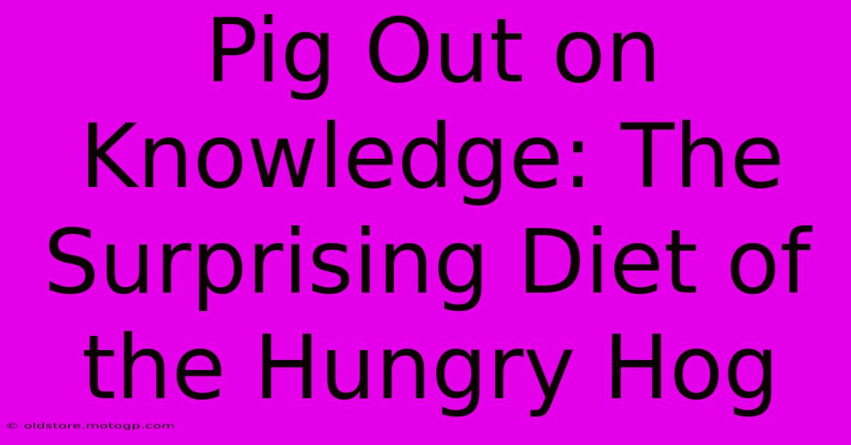 Pig Out On Knowledge: The Surprising Diet Of The Hungry Hog